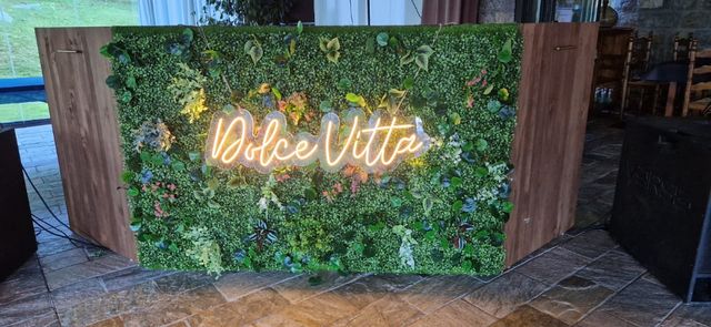 🧱Jardín vertical🌿 Interior y  exterior☀️