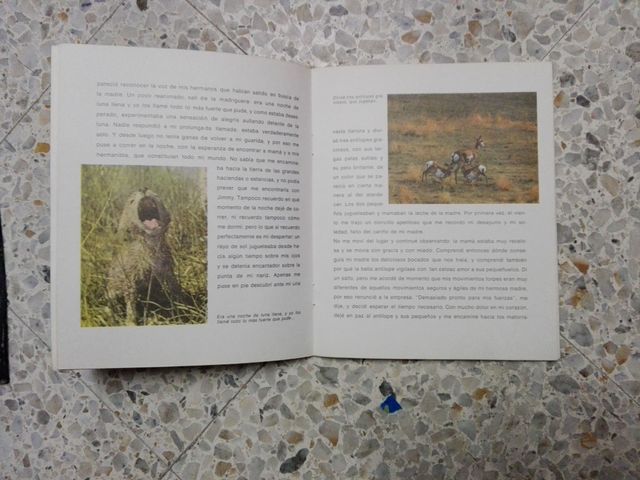 Memorias de un pequeño lobo (1970)