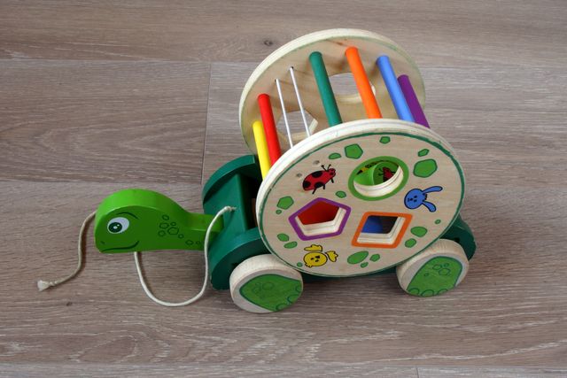 Tortuga-noria de juguete
