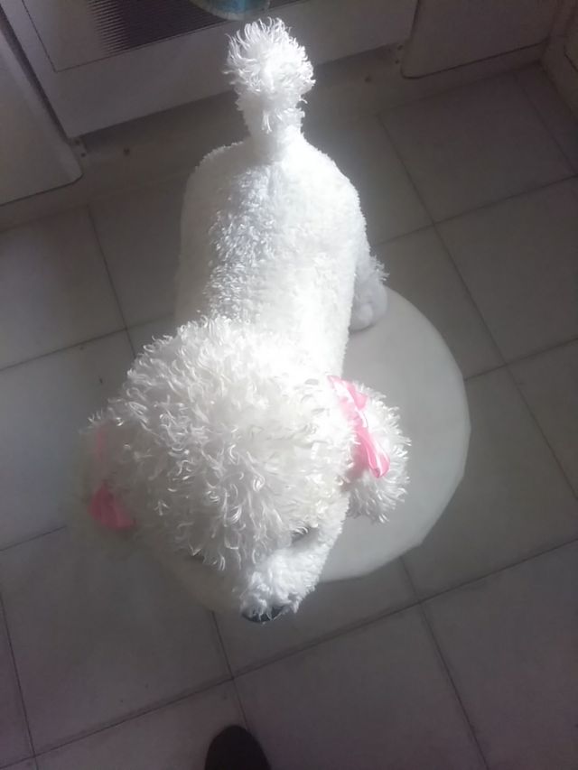 perro de juguete
