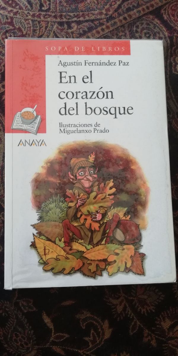 Libro infantil