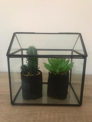 Invernadero de decoración