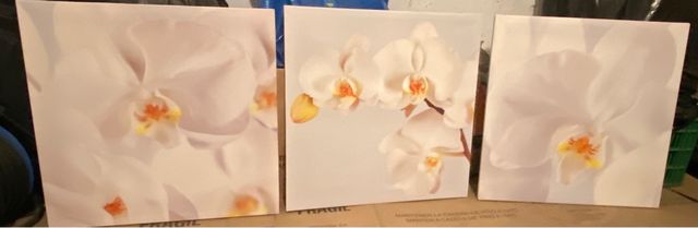 Cuadros Tríptico Orquídea