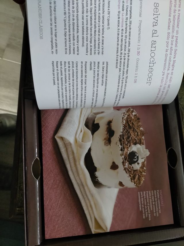 libro tentaciones de chocolate.