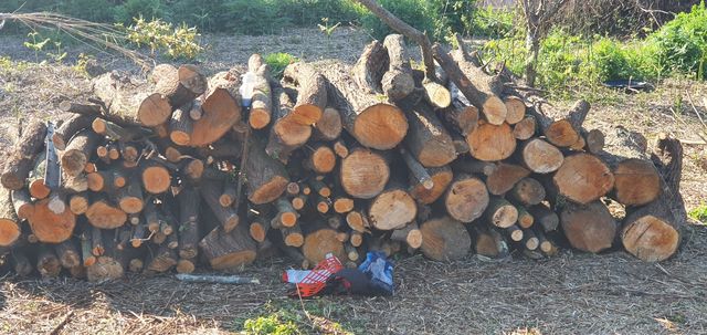 Leña en capachos desde 10€