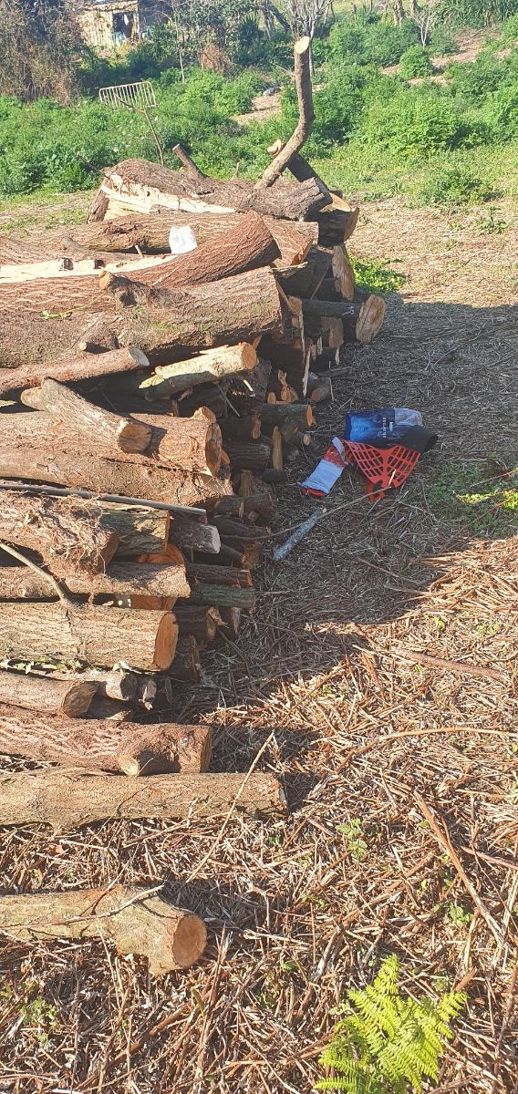 Leña en capachos desde 10€