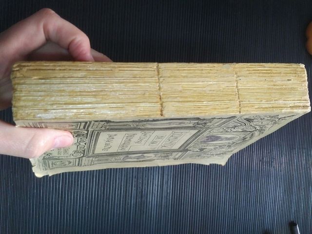 Hermanitas de los Ancianos Desamparados