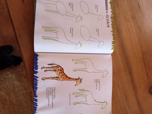 Apren a dibuixar la selva