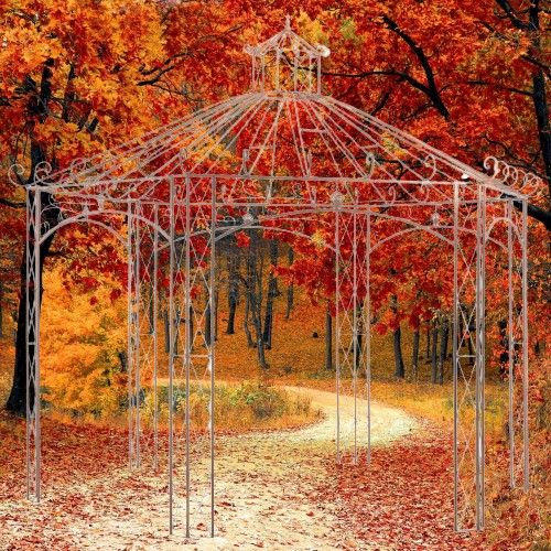 Antigua pérgola de jardín marrón 4 M hierro de segunda mano por 714,26