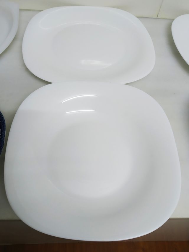 LOTE DE PLATOS Y BANDEJA