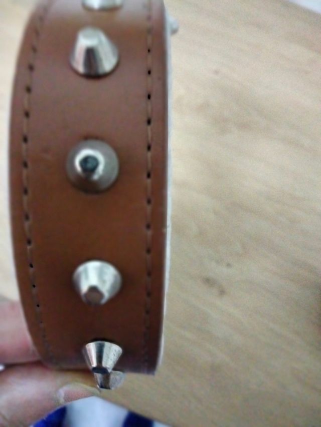Collar para perros