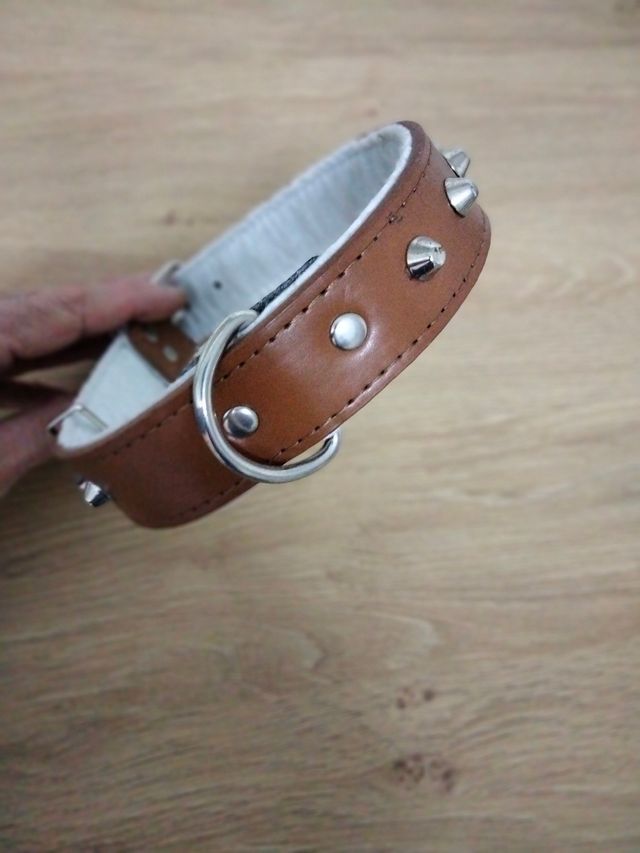 Collar para perros