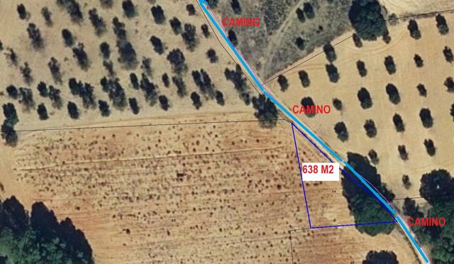 PARCELA EN FUENSANTA