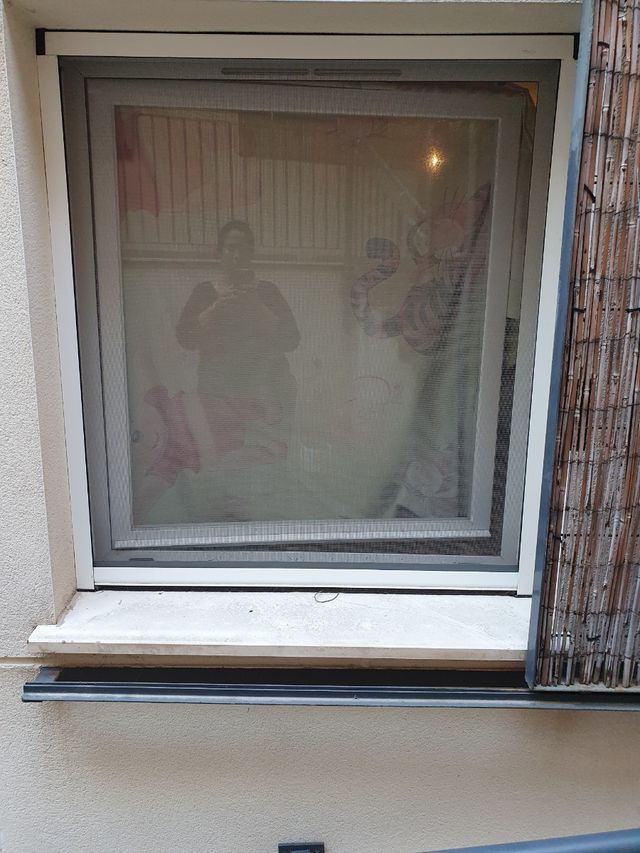 mosquitera de ventana