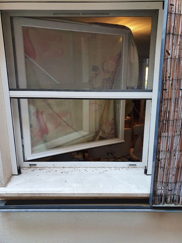 mosquitera de ventana