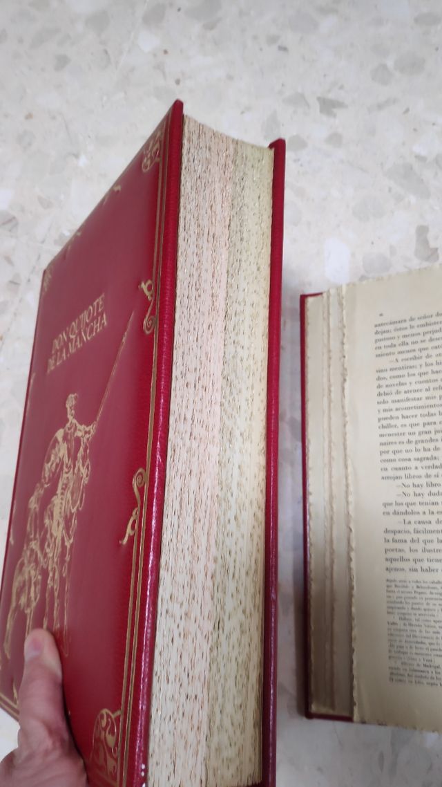 Don Quijote de la Mancha