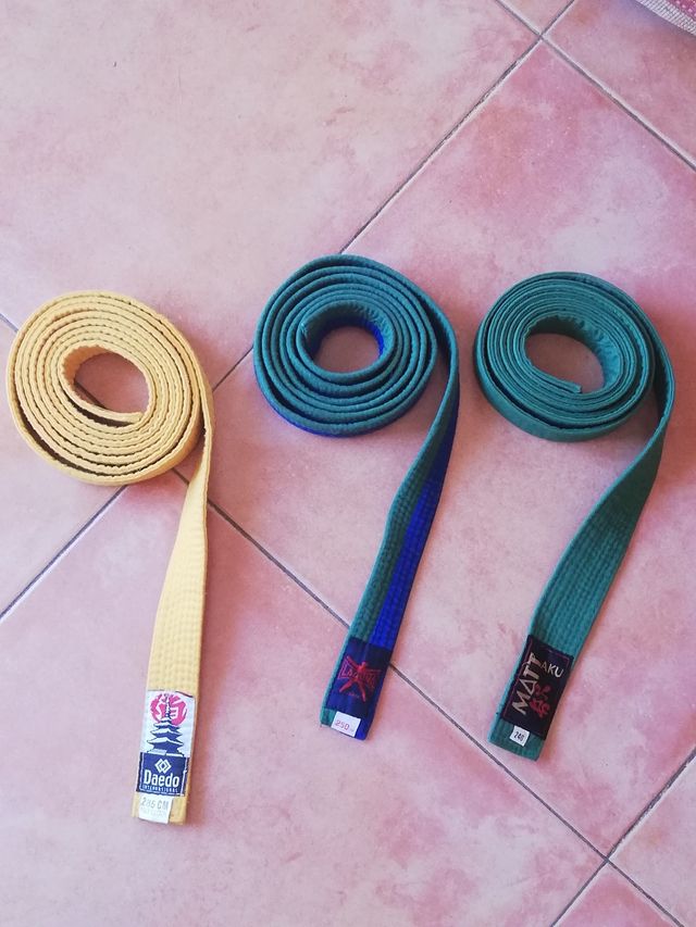 cinture judo