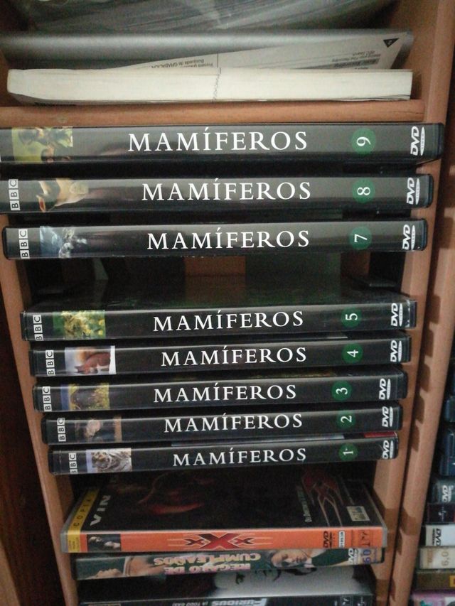 200 dvd de caza mayor y menor