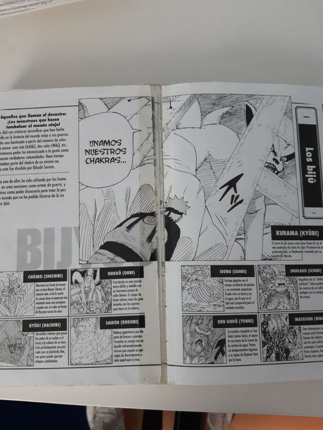 Naruto Libro de Combate