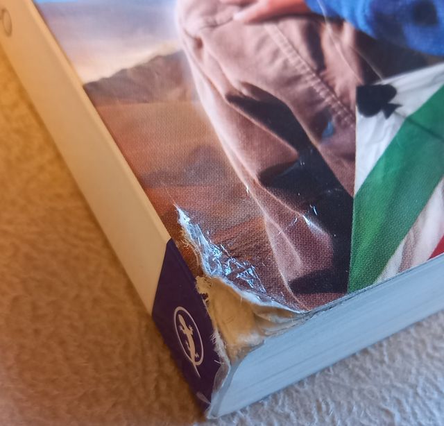 Prenota Aquiloni In Paradiso, Khaled Hosseini