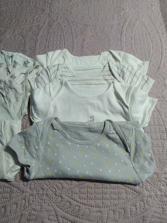 Lote bodys manga corta