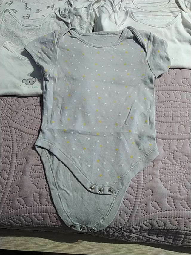 Lote bodys manga corta