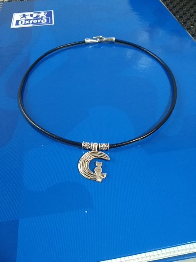 collar de gato en la luna