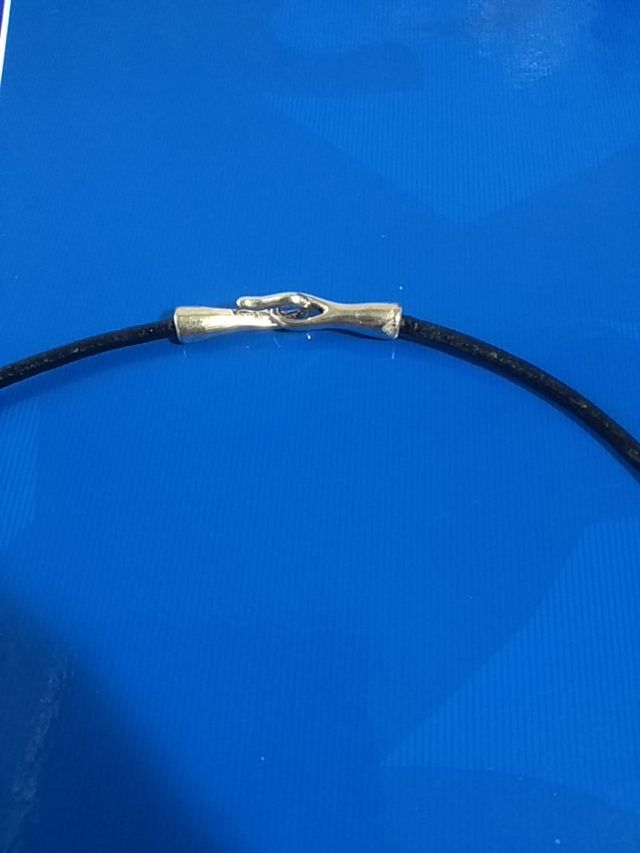 collar de gato en la luna