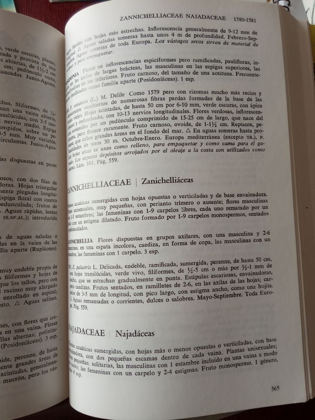 guia identificación plantas