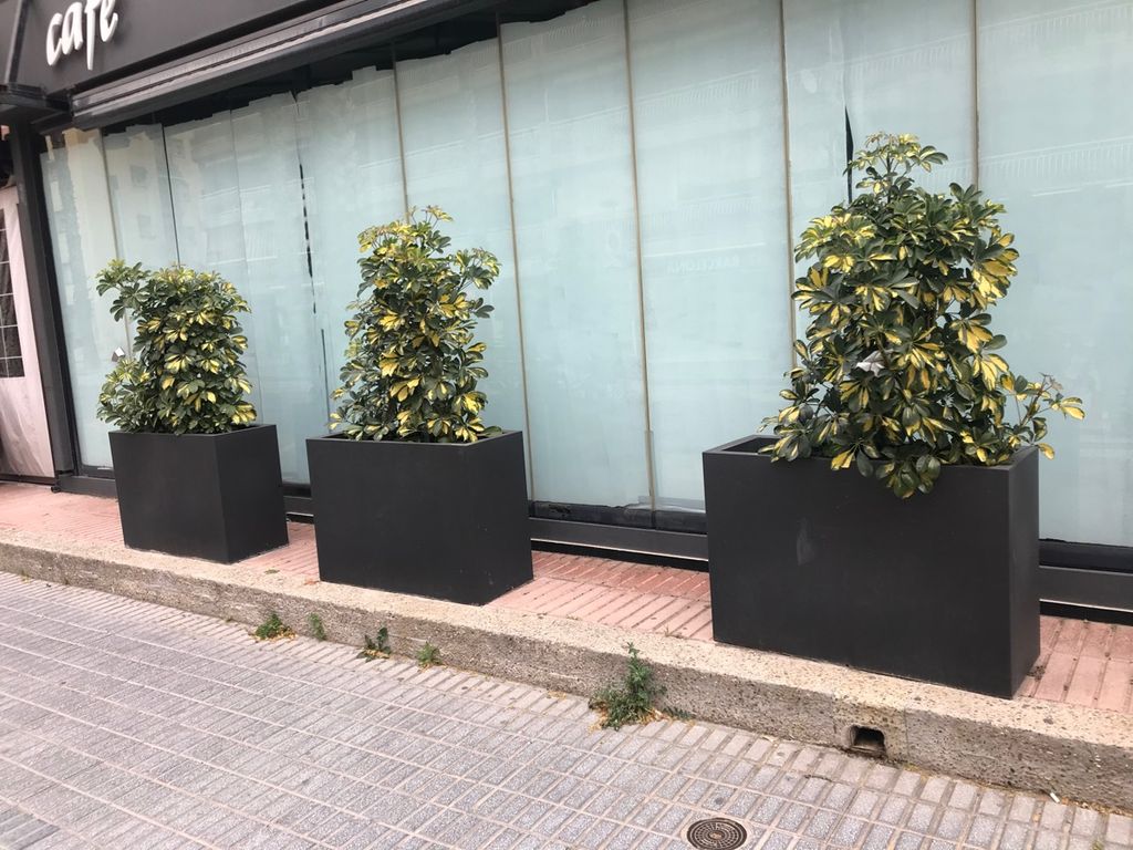 Jardineras de segunda mano en Jardín | CASINUEVO