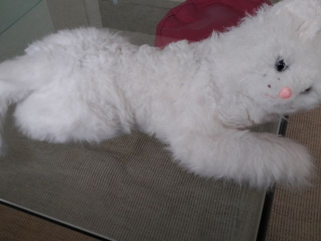 peluche gatito