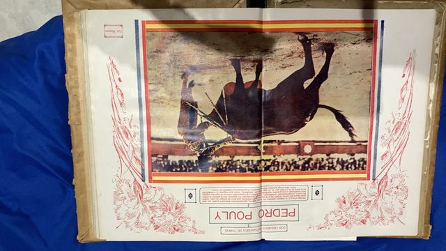 Libro Taurino La lidia