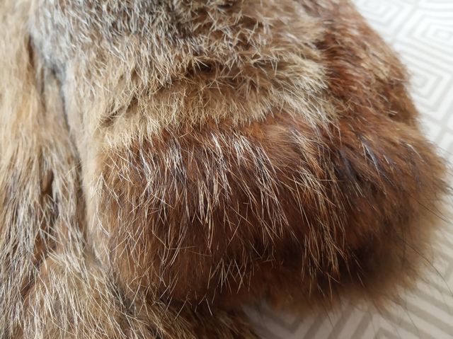 Abrigo de piel de lomos de lobo