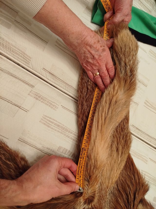 Abrigo de piel de lomos de lobo