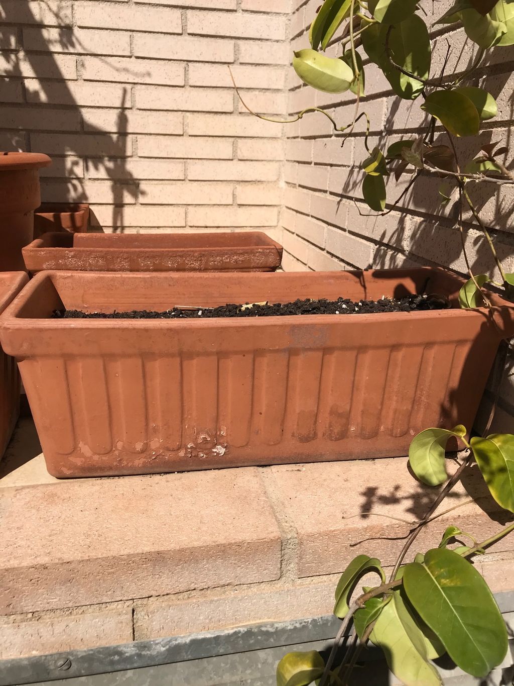 Jardineras de segunda mano en Jardín | CASINUEVO