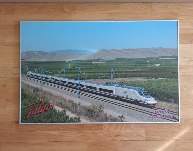 Cuadro Renfe AVE S-102 Talgo