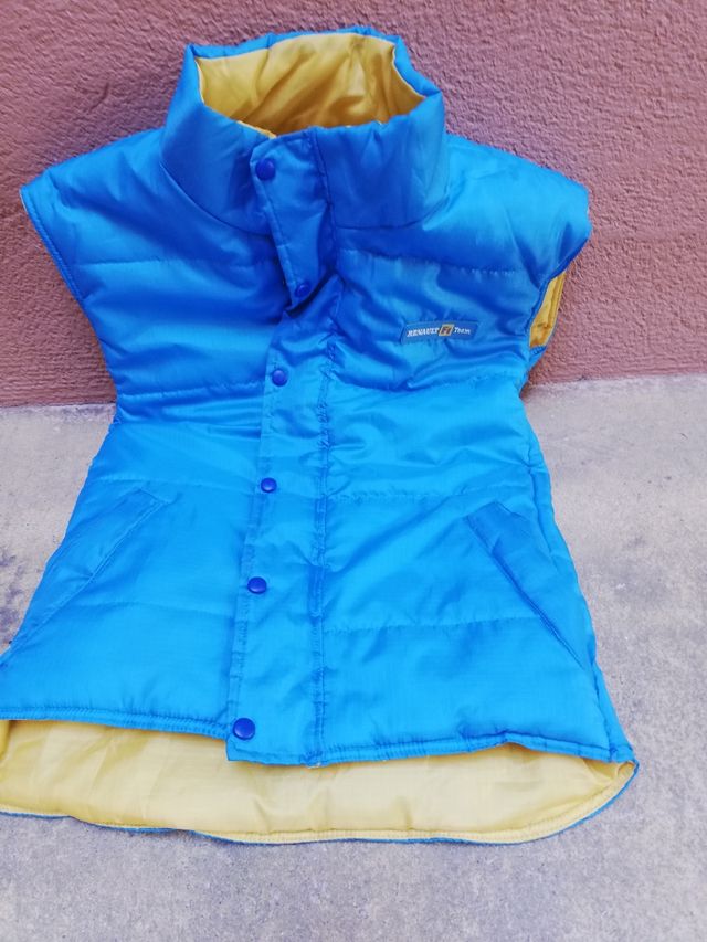 plumón de Renault de fern Alonso