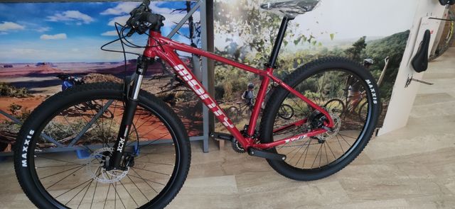 MONTY KZ8 29 2022 de segunda mano por 550 EUR en Alcalá la Real en