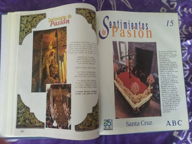 Sentimiento de Pasion