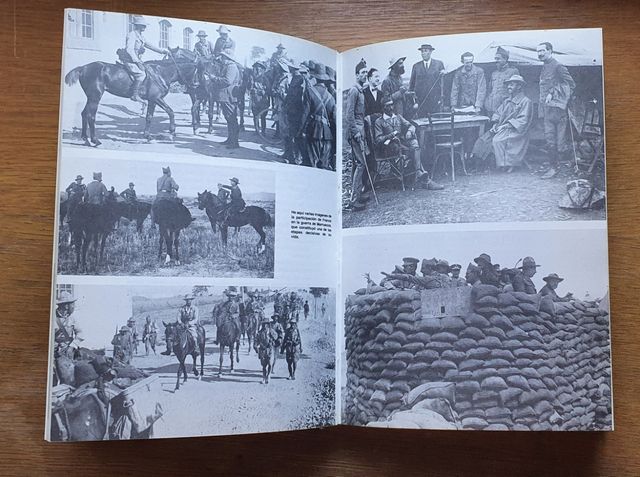 Libro LOS ULTIMOS 476 DIAS DE FRANCO