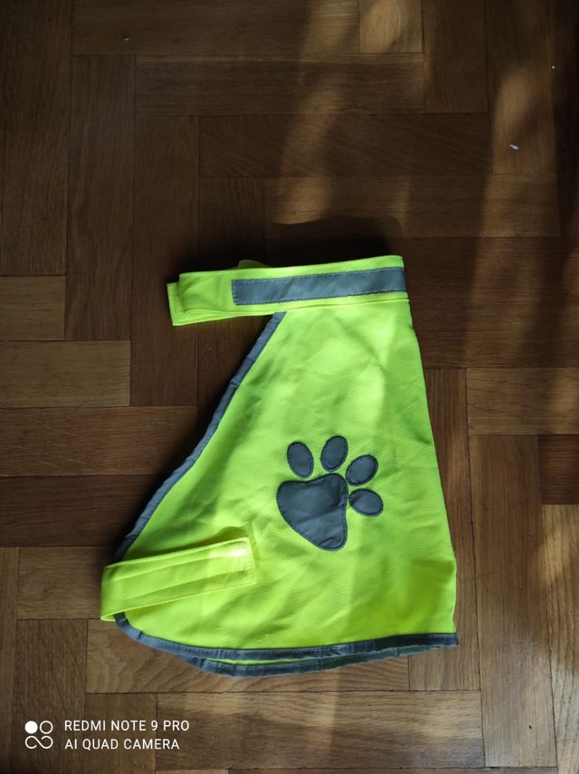 chubasquero para perros