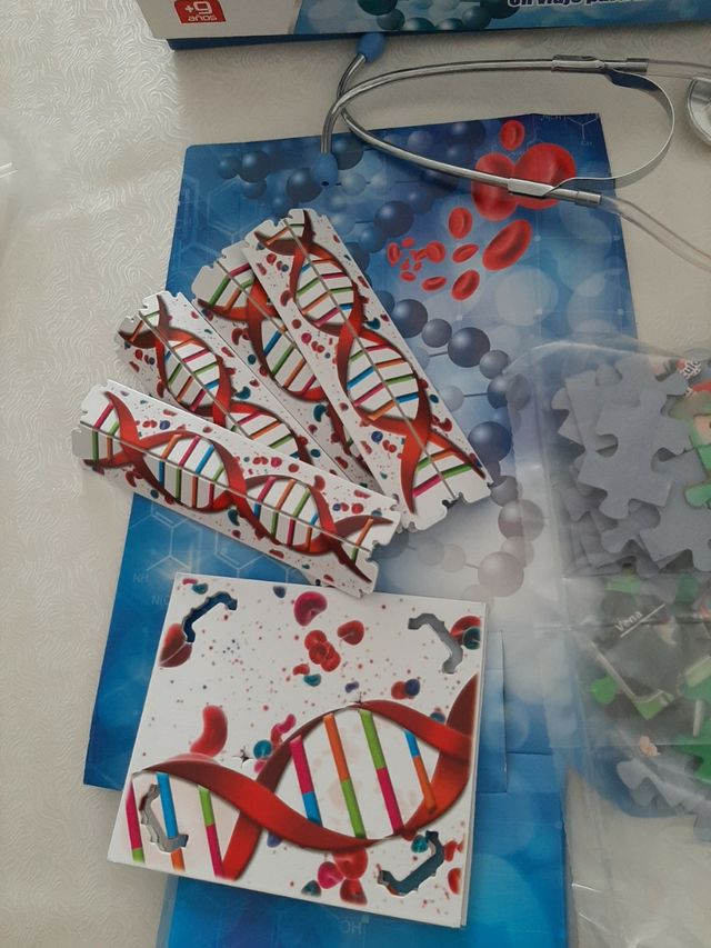 Juego el cuerpo humano