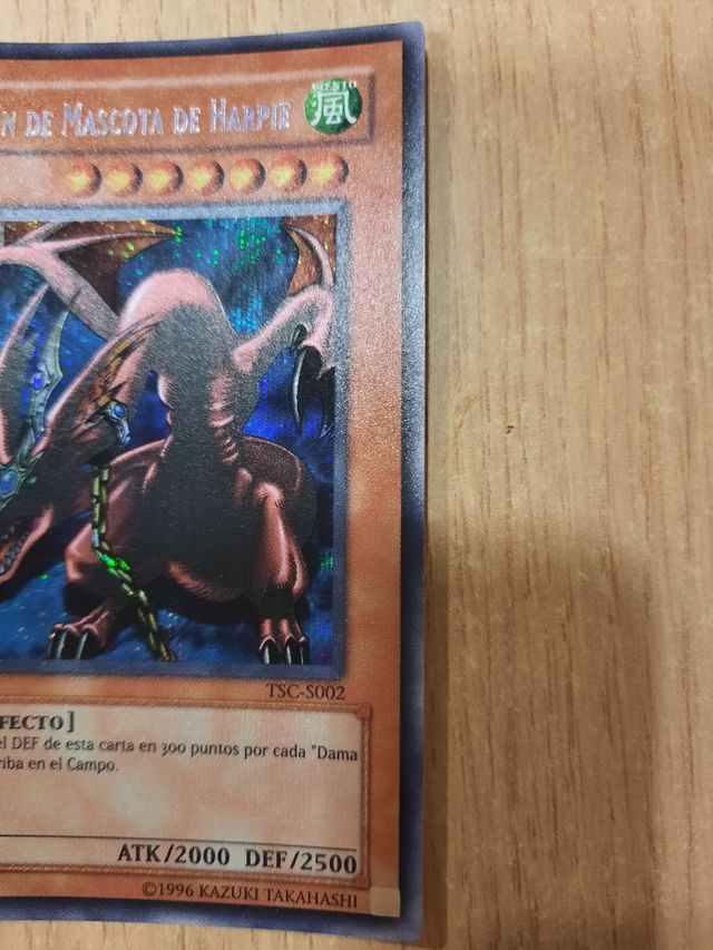 Dragon de mascota de harpie