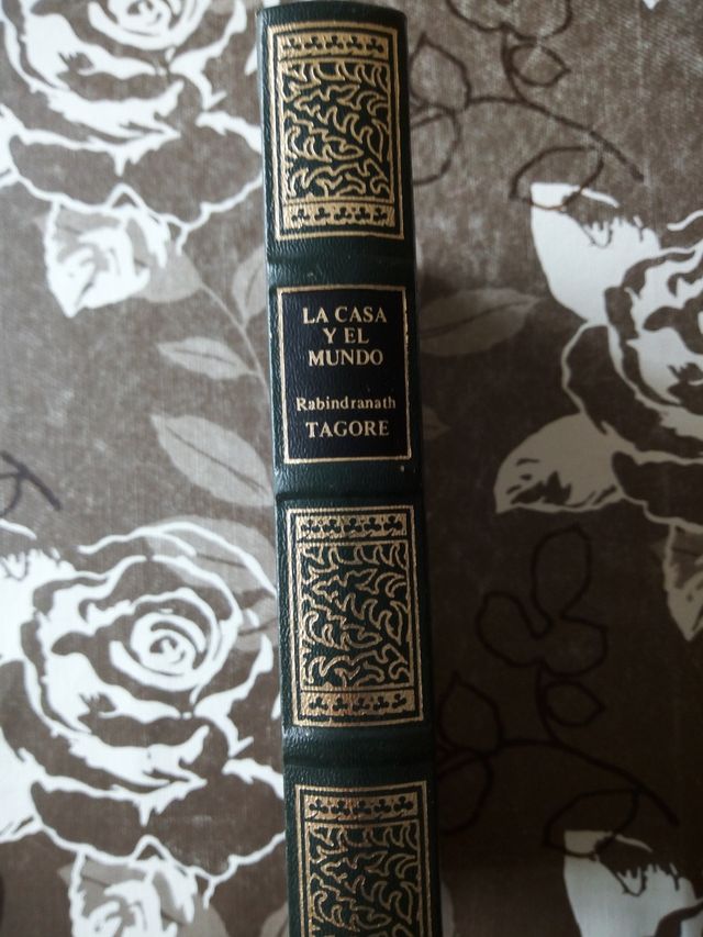 La casa y el mundo