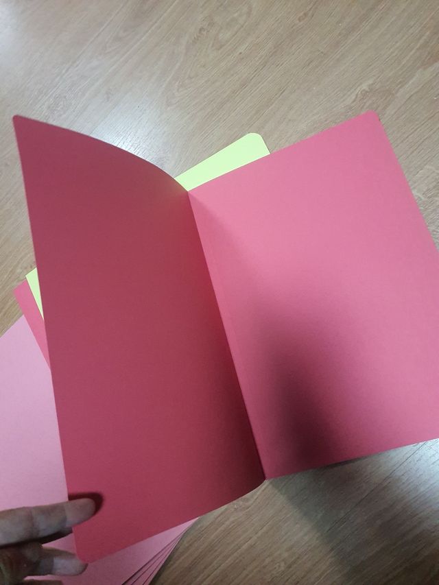 subcarpetas varios colores