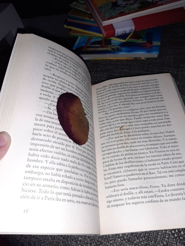 Libro de Danielle steel pack