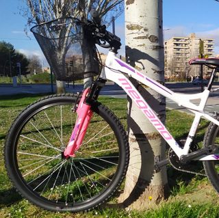 Bicicleta Megamo Open Replica Lady de segunda mano por 240 EUR en Zaragoza  en WALLAPOP