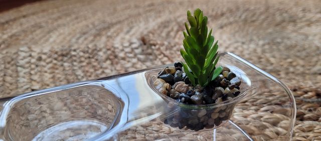 Original centro de cristal c plantas artificiales