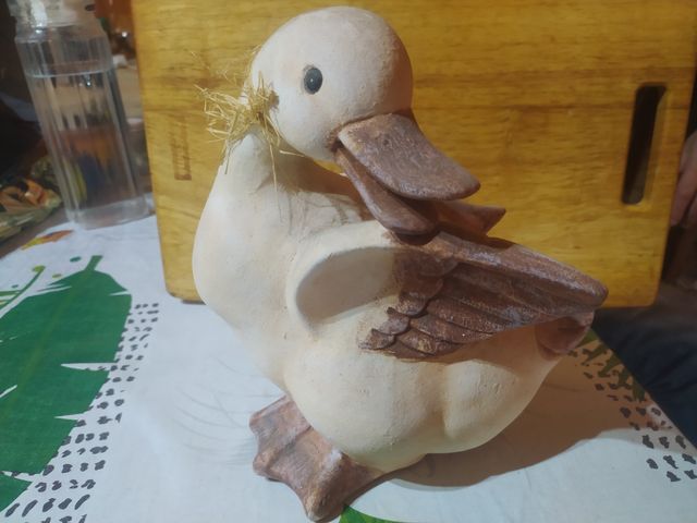 Figura pato