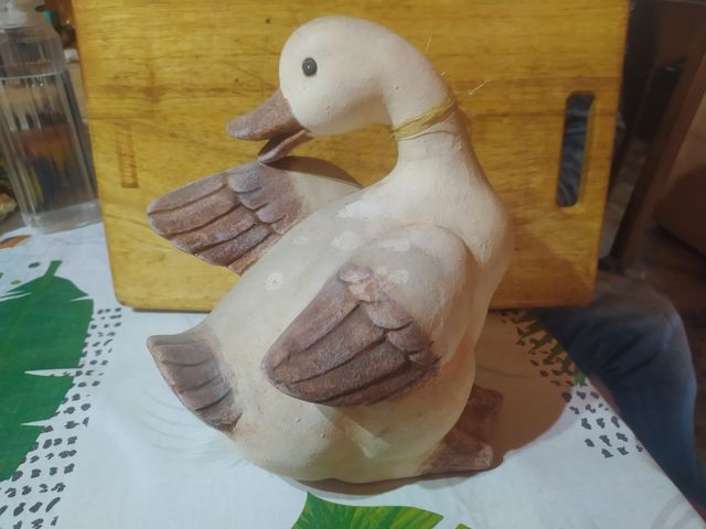Figura pato